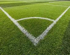 谢尔豪农心,杯第三阶段,不敌芝野虎,体彩大发彩票网,体育彩票,大发彩票网,足球彩票,篮球彩票,官方网站