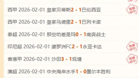 “米兰新援圣地亚哥处子战助米兰取胜，前东家费耶诺德失球”