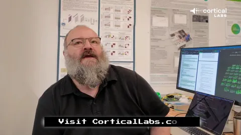 “2035年愿景：六部门协同打造完善天然林保育修复体系”